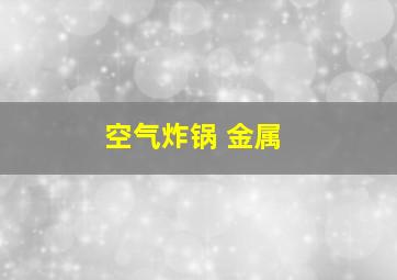 空气炸锅 金属